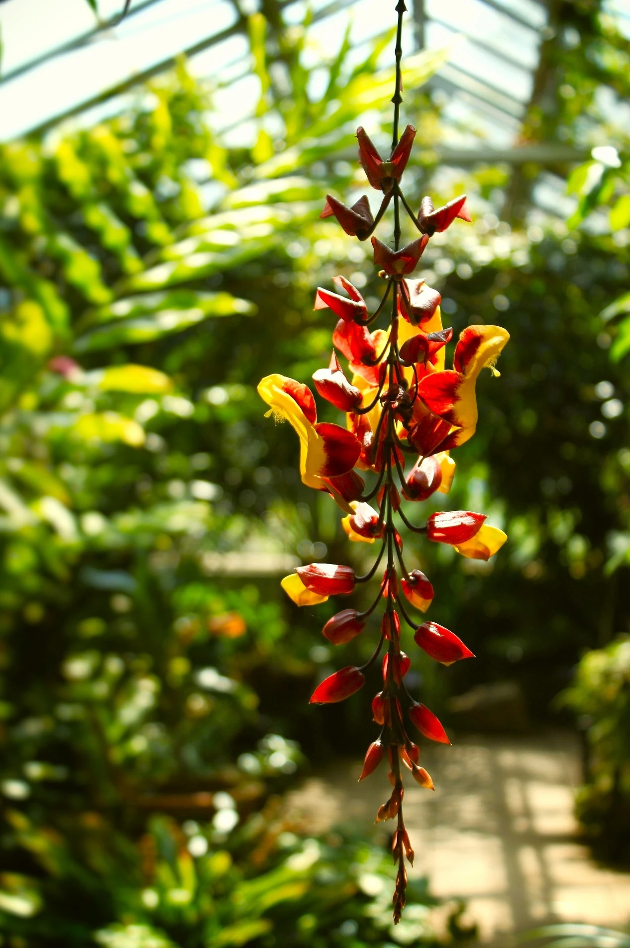 Flora photograph