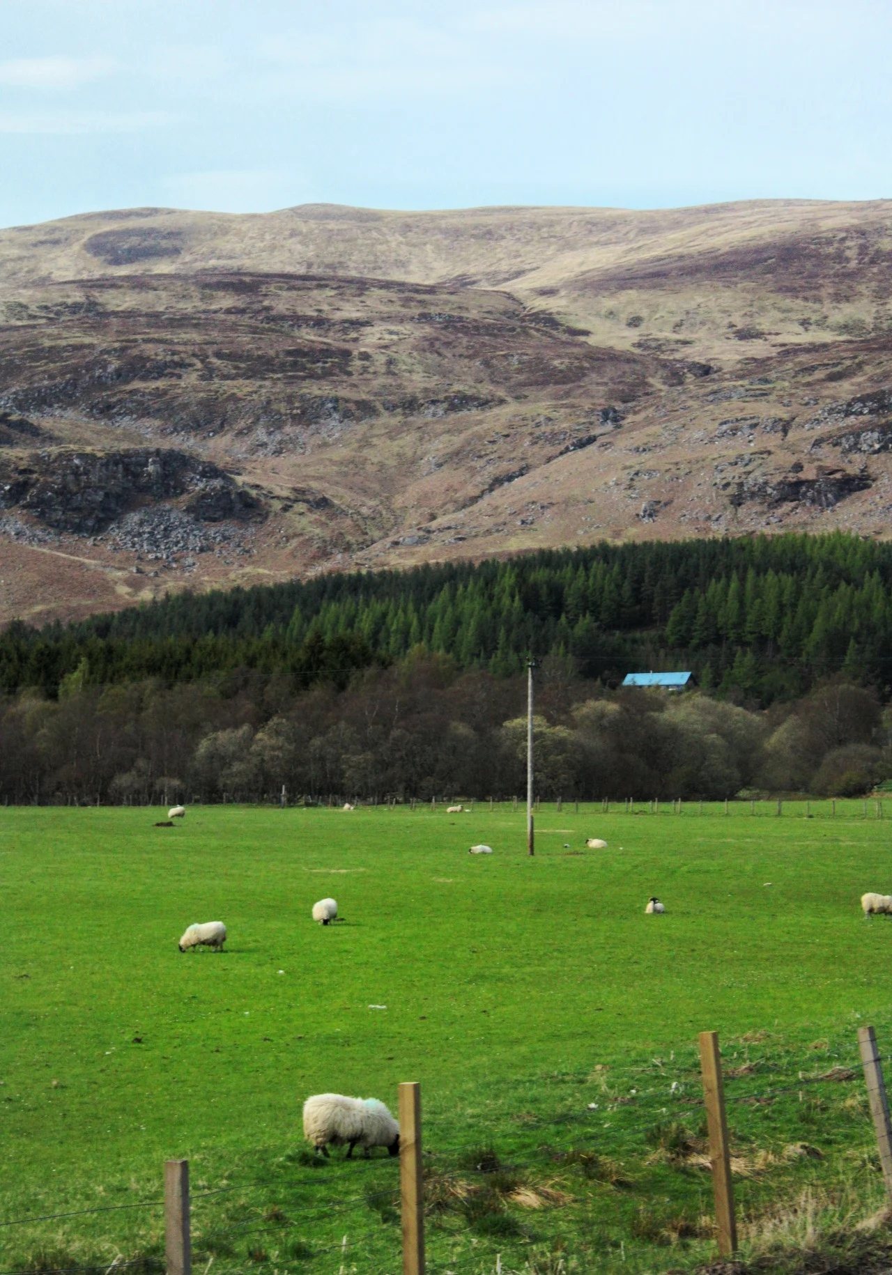 Scotland