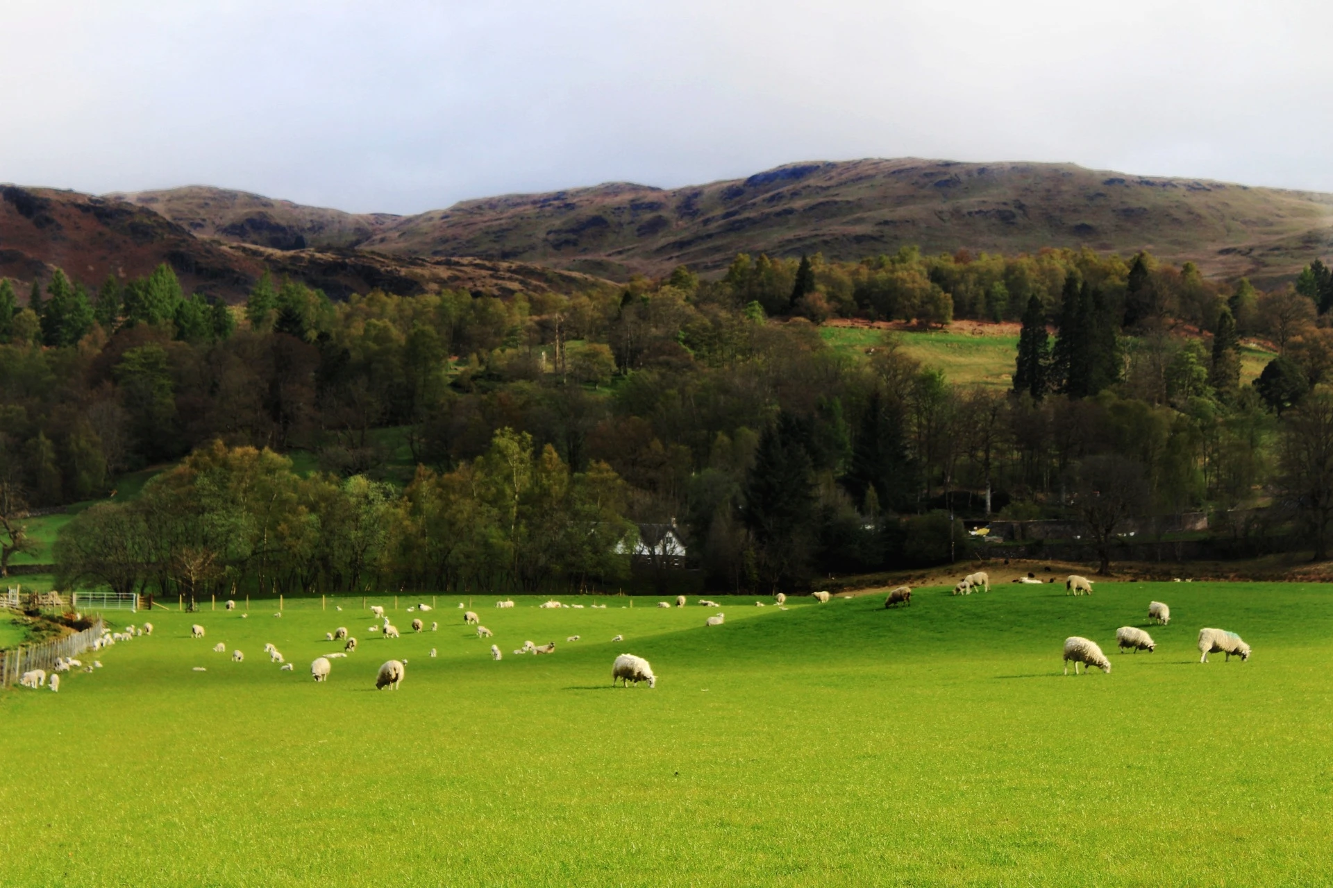 Scotland