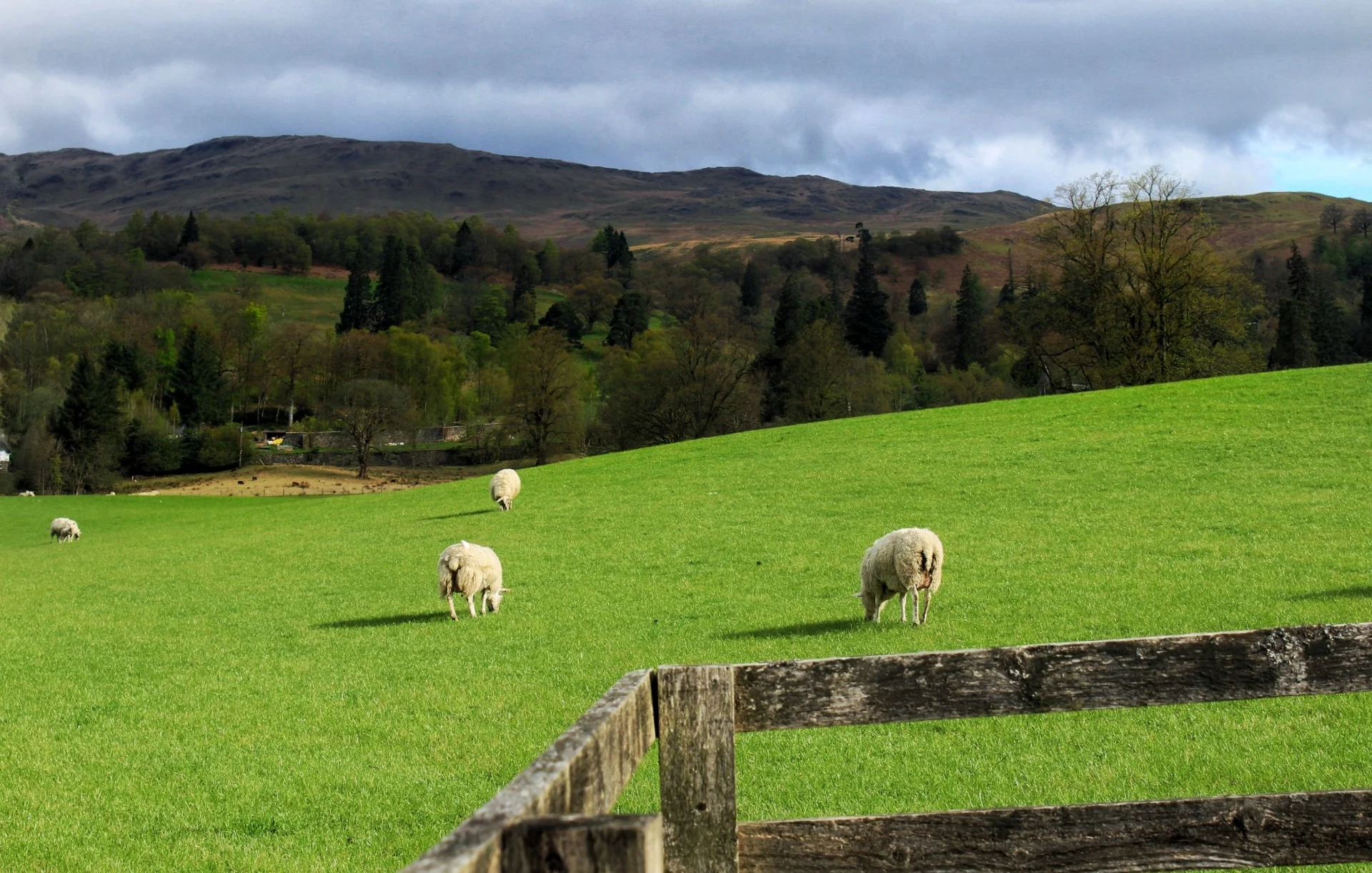 Scotland