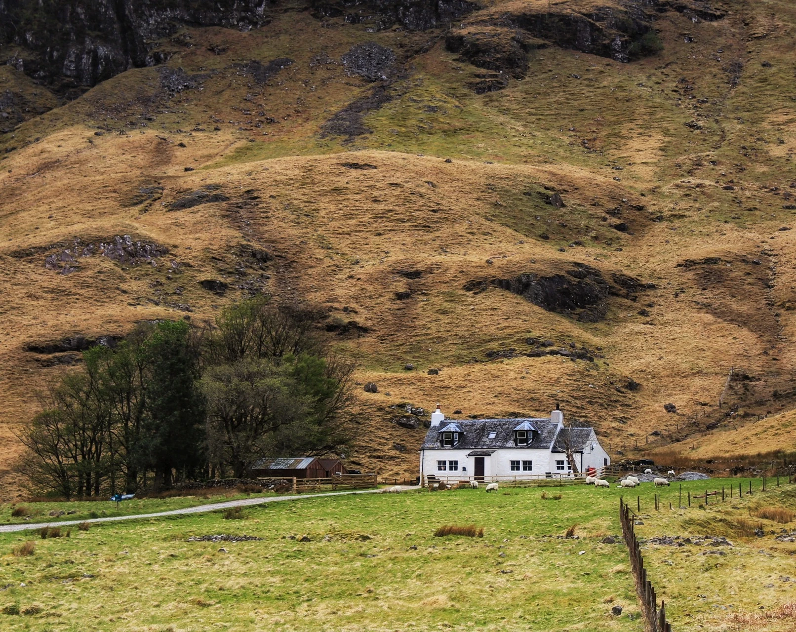 Scotland